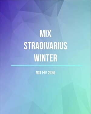 Купить STRADIVARIUS Winter mix#15 кг, ЛОТ №2256 оптом в Оренбурге и Оренбургской области
