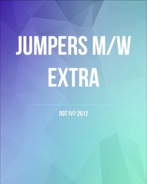 Купить Джемпер муж+жен экстра#15 кг , Лот№2612 оптом в Оренбурге и Оренбургской области