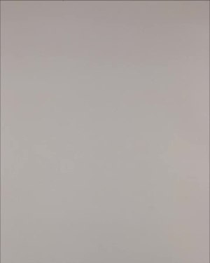 Фотография  206 - Нижнее белье Bon Prix дети#50 шт, ЛОТ №3242 оптом в Оренбурге и Оренбургской области