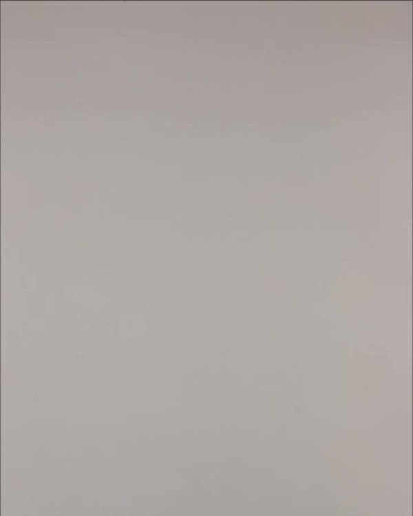 Фотография  170 - Нижнее белье Bon Prix дети#50 шт, ЛОТ №3242 оптом в Оренбурге и Оренбургской области