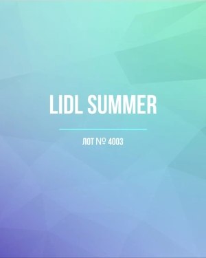 Купить LIDL Summer#20 кг, ЛОТ №4003 оптом в Оренбурге и Оренбургской области