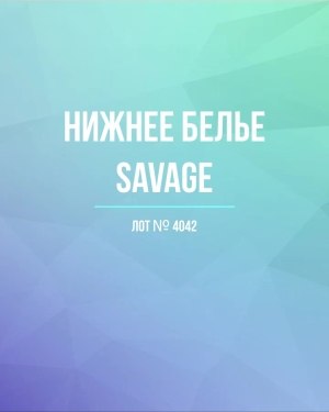 Купить Нижнее белье Savage#50 шт, ЛОТ №4042 оптом в Оренбурге и Оренбургской области