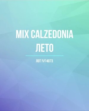 Купить CALZEDONIA лето mix#50 шт, ЛОТ №4073 оптом в Оренбурге и Оренбургской области