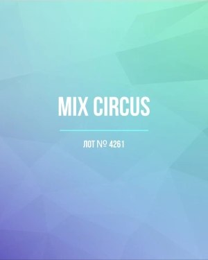 Купить CIRCUS mix #13 кг, ЛОТ №4261 оптом в Оренбурге и Оренбургской области