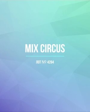 Купить CIRCUS mix #11,8 кг, ЛОТ №4284 оптом в Оренбурге и Оренбургской области