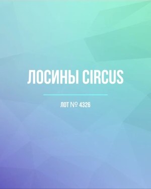 Купить Лосины CIRCUS #6,2 кг, ЛОТ №4326 оптом в Оренбурге и Оренбургской области