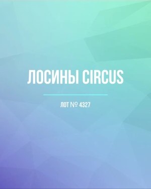 Купить Лосины CIRCUS #6,2 кг, ЛОТ №4327 оптом в Оренбурге и Оренбургской области