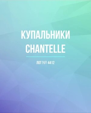 Купить Купальники Chantelle#23 шт, ЛОТ №4412 оптом в Оренбурге и Оренбургской области