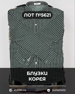Купить Блузки Корея#20 шт, ЛОТ №5621 оптом в Оренбурге и Оренбургской области