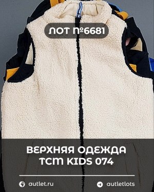 Купить Верхняя одежда TCM kids 074#7 кг, ЛОТ №6681 оптом в Оренбурге и Оренбургской области