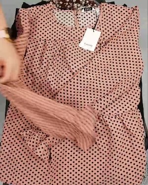 Фотография  161 - ДАНИЯ Winter mix 24#15 кг, ЛОТ №6710 оптом в Оренбурге и Оренбургской области