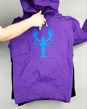 Фотография  119 - Толстовки м/ж (Sweat Tops)#20 кг, ЛОТ №7431 оптом в Оренбурге и Оренбургской области