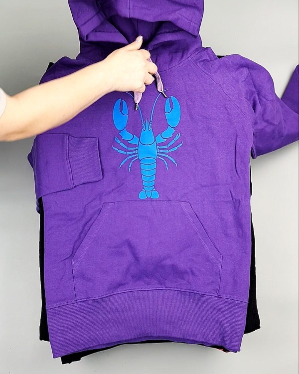 Фотография  365 - Толстовки м/ж (Sweat Tops)#20 кг, ЛОТ №7431 оптом в Оренбурге и Оренбургской области