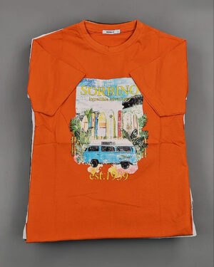 Купить Футболки мужские C-3141 (MEN T-shirt Sorbino) #4,8 кг оптом в Оренбурге и Оренбургской области