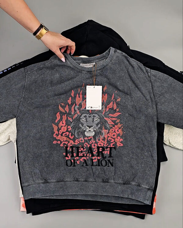 Фотография  920 - Толстовки Bestseller+DK 035#7 кг, ЛОТ СТ-9839 оптом в Оренбурге и Оренбургской области